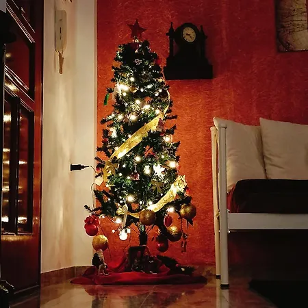 Dimitris & Despoinas Daire